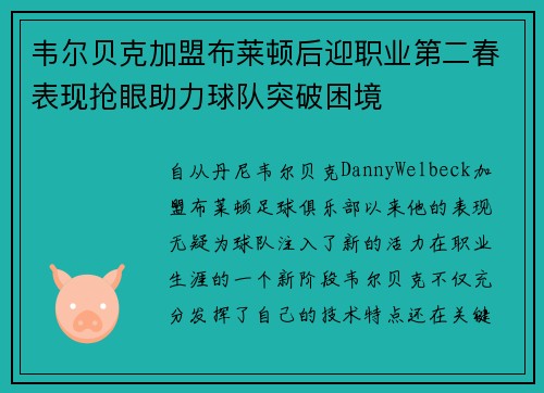 韦尔贝克加盟布莱顿后迎职业第二春表现抢眼助力球队突破困境 韦尔贝克加盟布莱顿后迎职业第二春表现抢眼助力球队突破困境